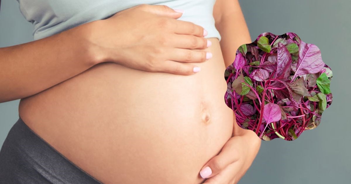 Mẹ bầu có nên ăn rau dền thường xuyên trong thời kỳ mang thai hay không?

