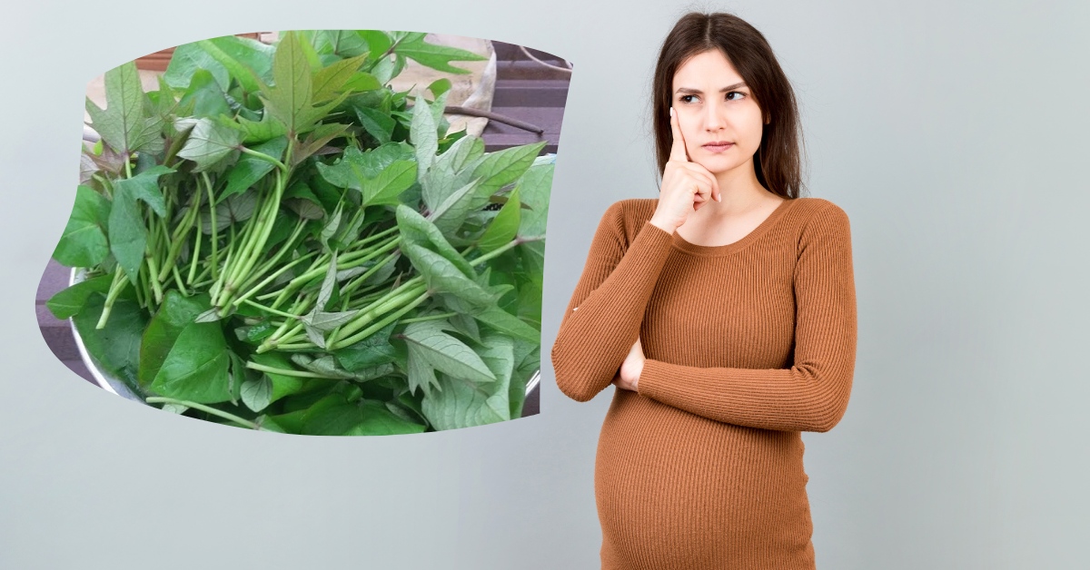Bà bầu ăn rau lang được không? Tác dụng, lợi ích và lưu ý khi ăn trong thai kỳ