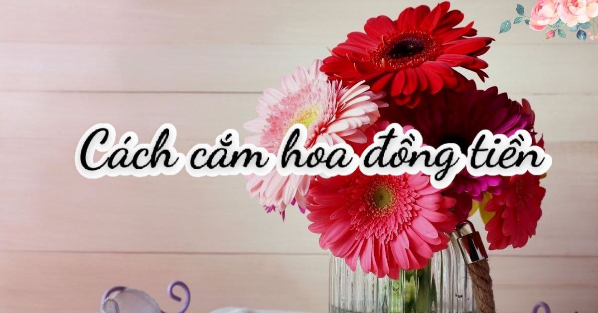 Chia sẻ Cách cắm hoa đồng tiền đẹp ngày tết Để tạo không gian lung linh và ấm áp