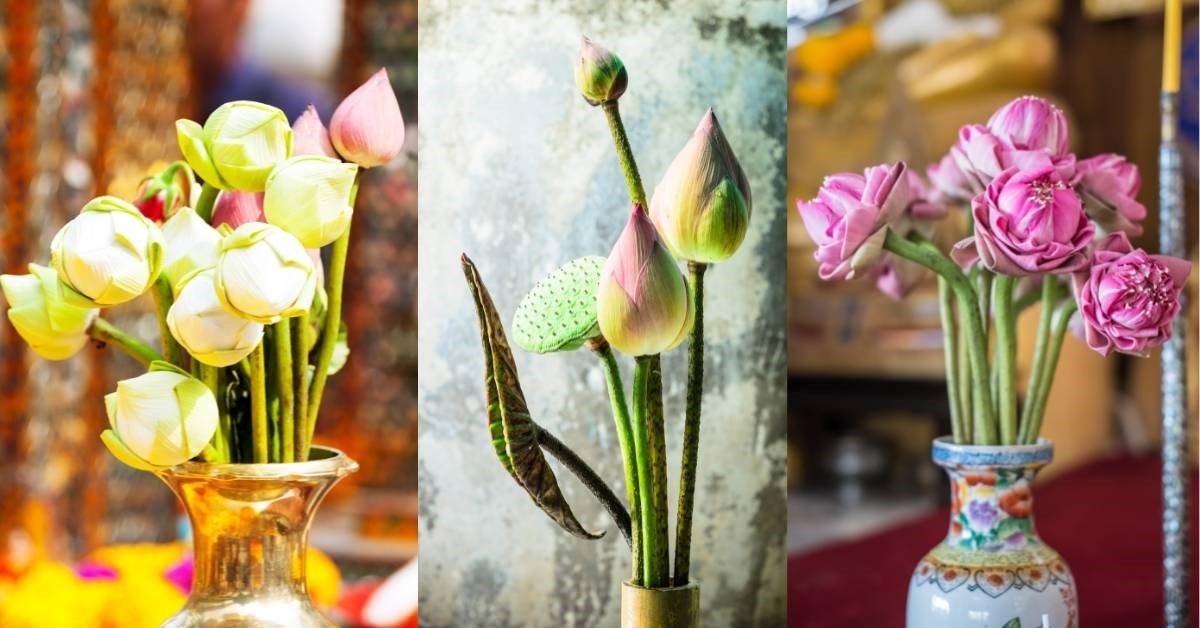 15 mẫu Cắm hoa sen đẹp trên nón lá độc đáo và dễ thương