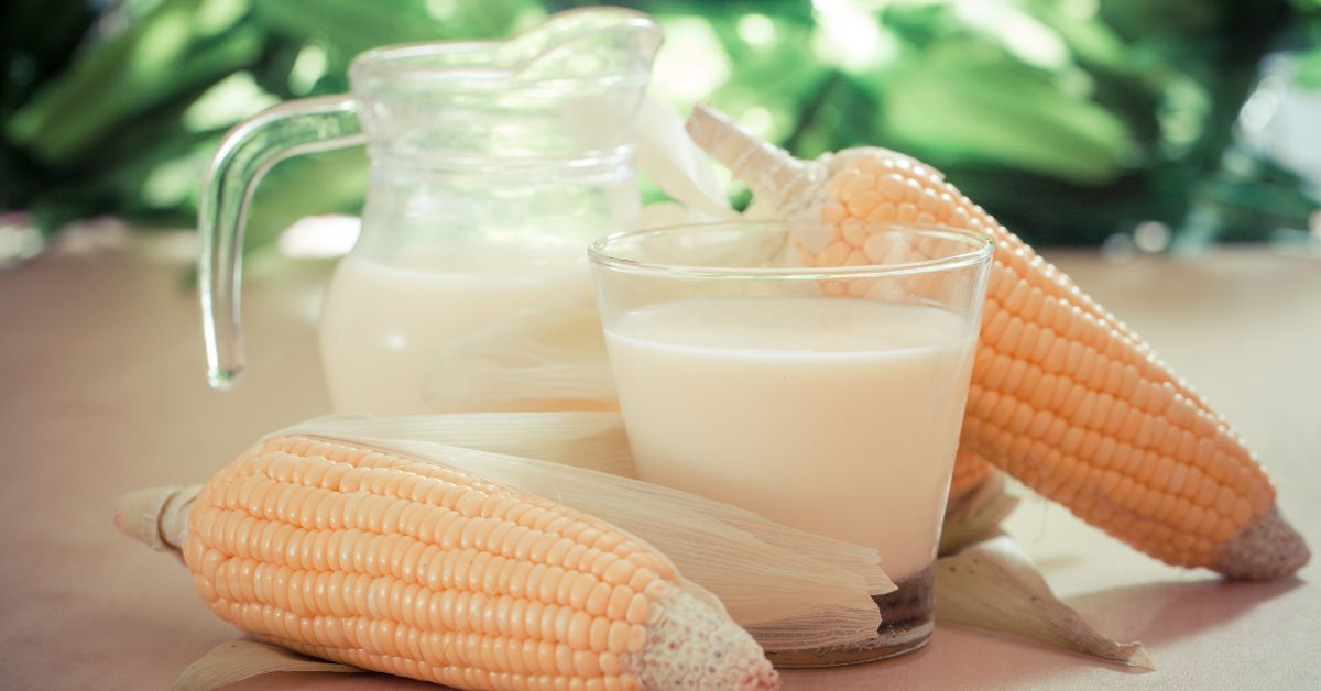 Có nên uống sữa bắp thường xuyên để giữ gìn cân nặng hay không?
