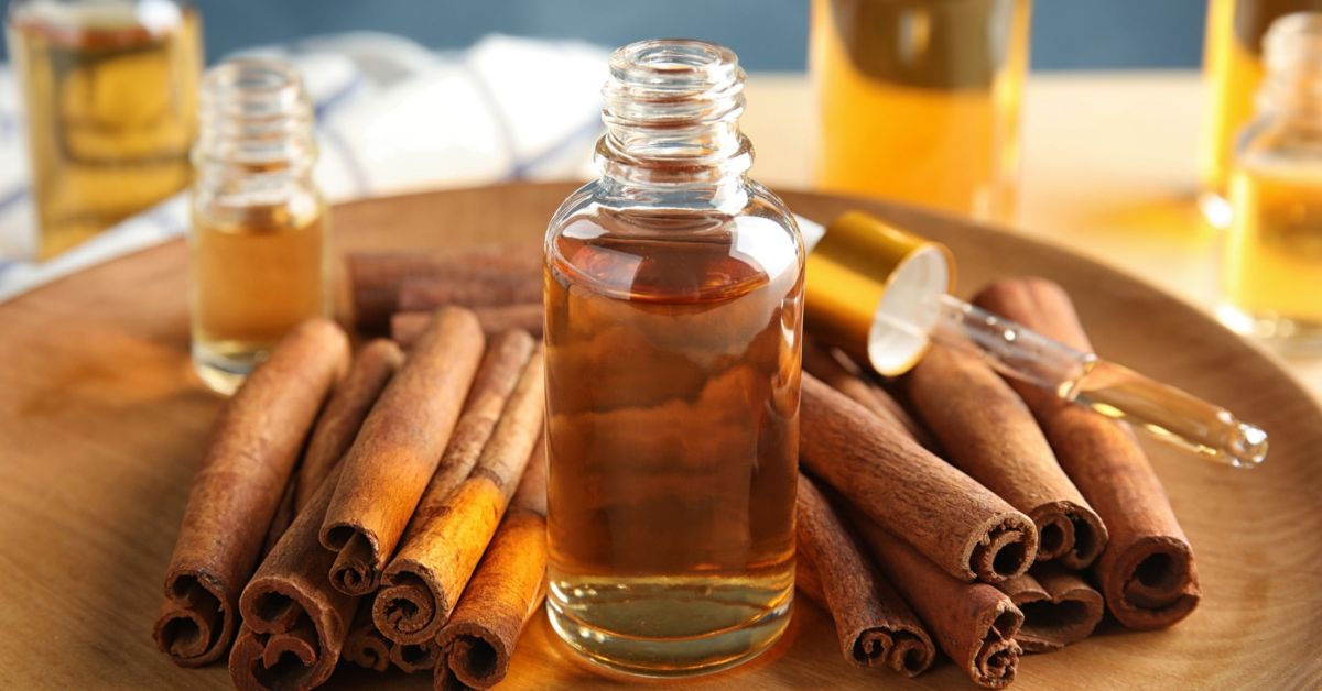 Tinh Dầu Tự Nhiên: 10 Tác Dụng và 6 Cách Dùng Hiệu Quả Cho Sức Khỏe & Làm Đẹp Tinh dầu tự nhiên hương vị quế có khả năng xua đuổi côn trùng hiệu quả