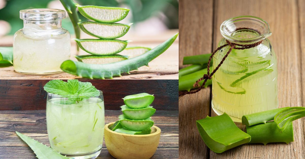 Khám Phá 5 Món Ngon Từ Nha Đam Dễ Làm Tại Nhà Sinh tố nha đam là một ly thức uống tươi mát