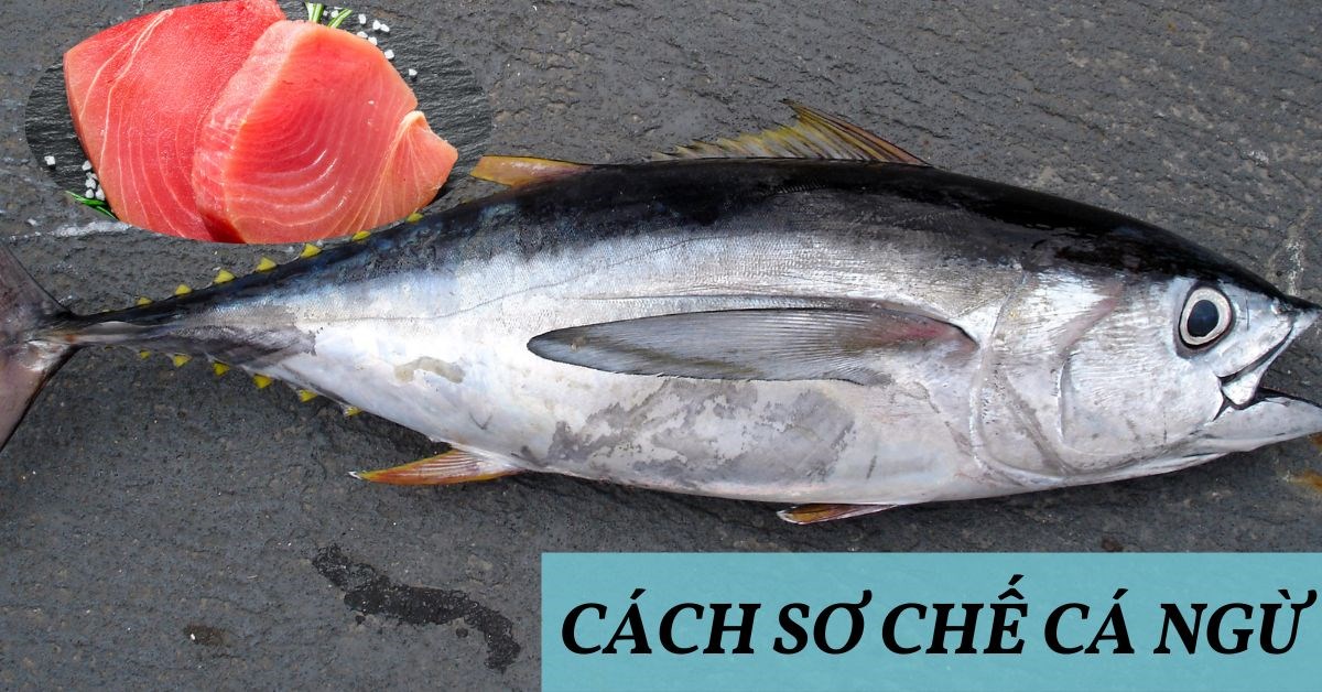 Sơ chế cá ngừ
