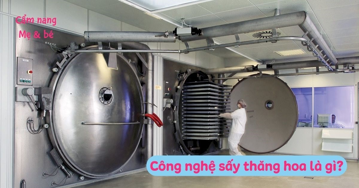 Công nghệ sấy thăng hoa là gì? Nguyên lý hoạt động và ưu nhược điểm