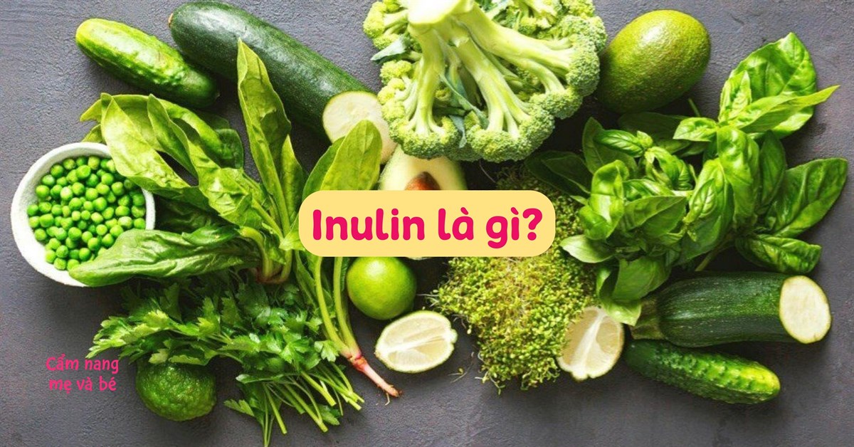 Cách ứng dụng chất xơ inulin vào chế độ ăn uống của con người như thế nào?