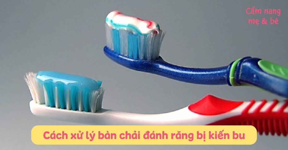 Kệ Góc Nhà Tắm Treo Bàn Chải, Kem Đánh Răng