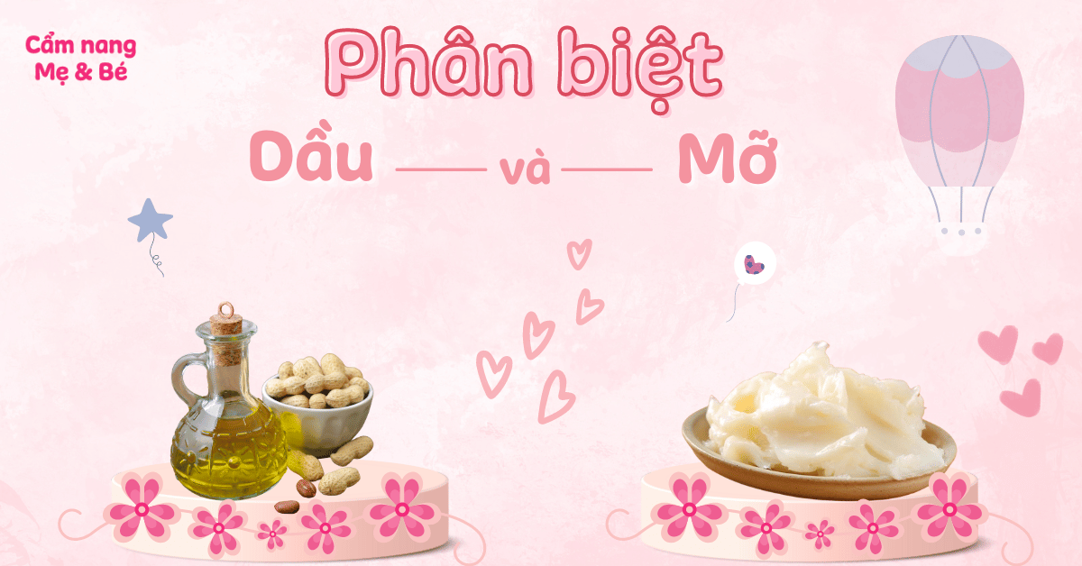 Phân biệt dầu và mỡ khác nhau ra sao? Cái nào tốt hơn cho sức khoẻ?