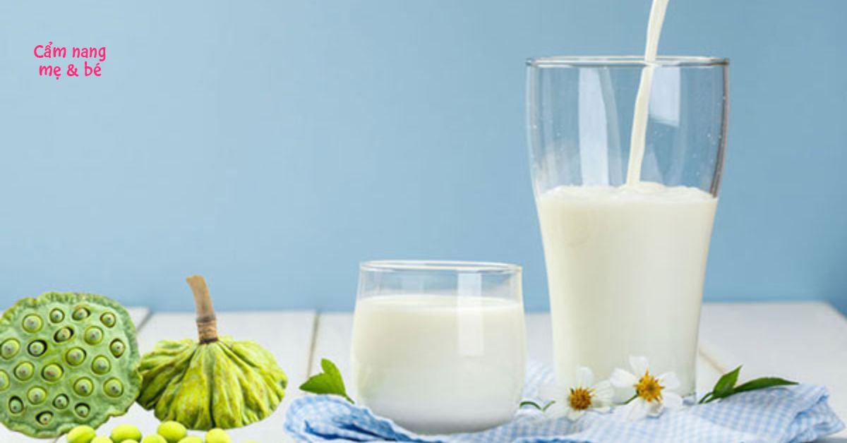 What are the benefits of sữa hạt sen (lotus seed milk)?