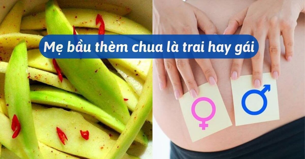 Bầu Con Gái Thèm Ăn Gì? Top Thực Phẩm Hấp Dẫn Mẹ Bầu