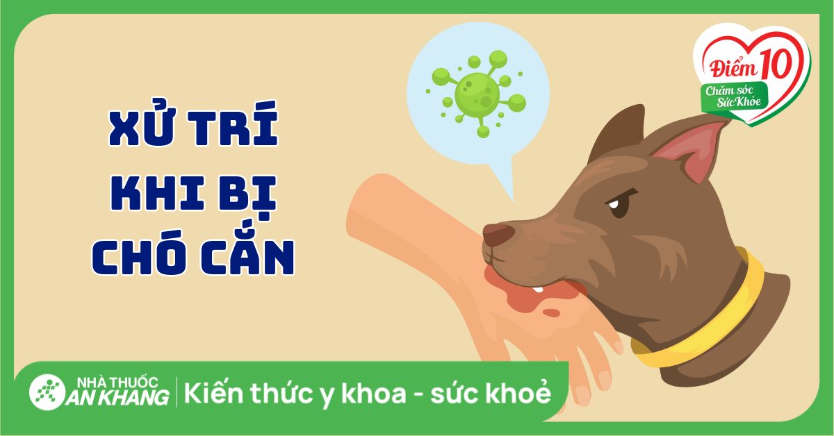 Bệnh dại có chữa được không? Cách xử lý khi bị chó mèo cắn