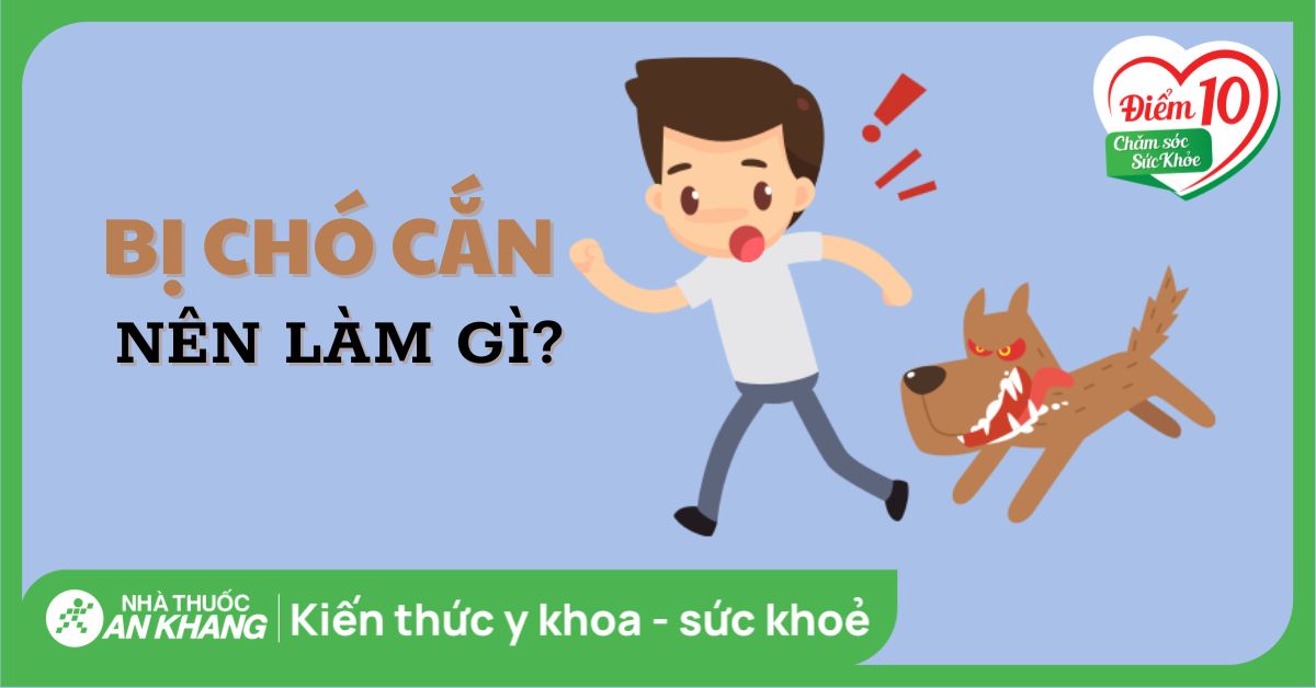 Bị chó cắn nên làm gì? Hướng dẫn cách sơ cứu chó cắn đúng cách