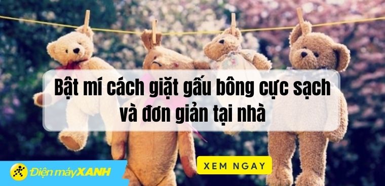 Bật mí cách giặt gấu bông cực sạch và đơn giản tại nhà