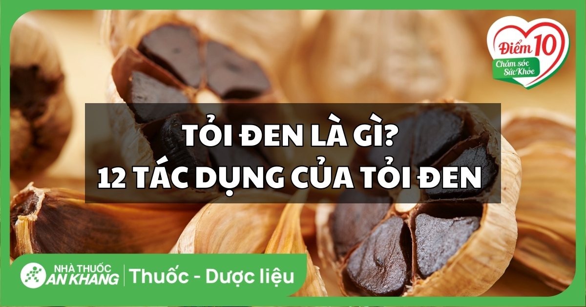 Tỏi đen là gì? 12 tác dụng của tỏi đen đối với sức khỏe