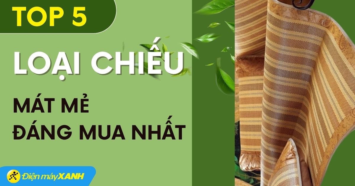 5 loại chiếu cực mát lưng cho mùa hè, được ưa chuộng nhất hiện nay