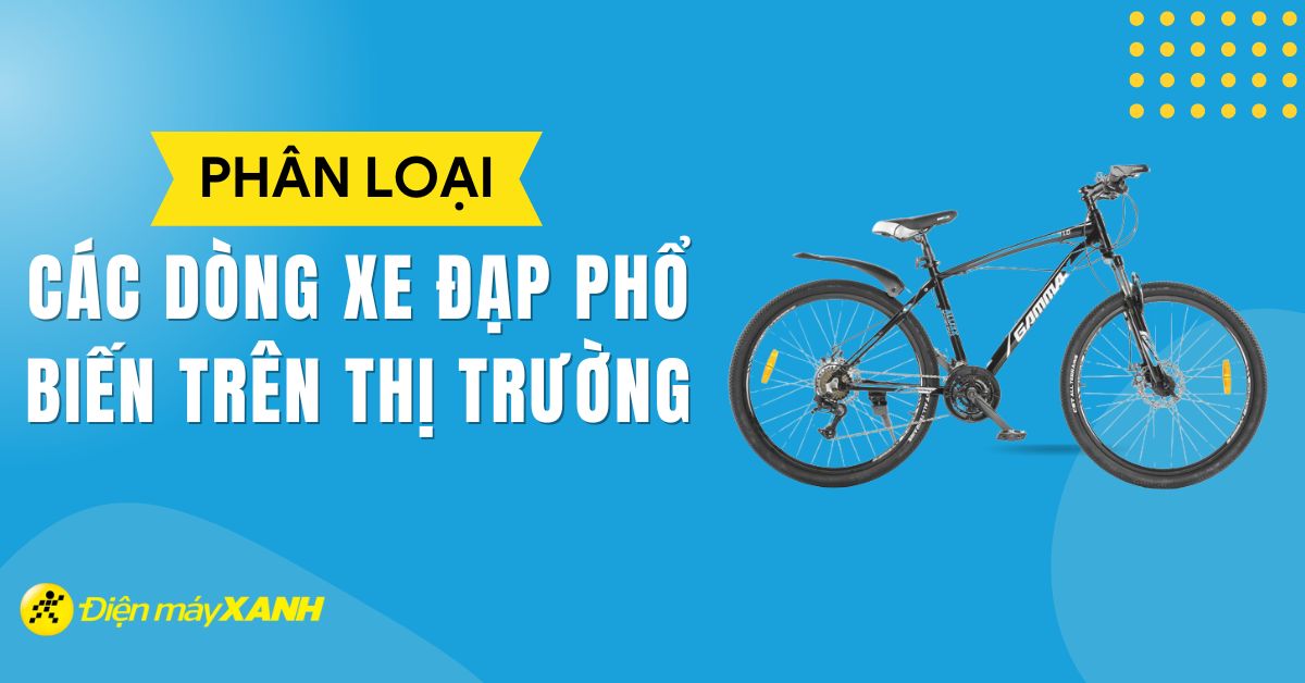 Phân loại các dòng xe đạp phổ biến nhất trên thị trường