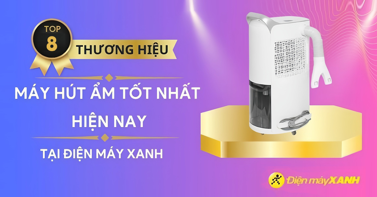 Máy hút ẩm hãng nào tốt? 8 thương hiệu hút ẩm tốt nhất hiện nay