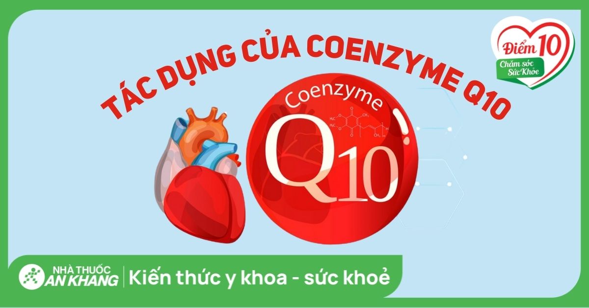 Coenzyme Q10 là gì? 12 tác dụng, cách dùng, thực phẩm chứa Coenzyme Q10