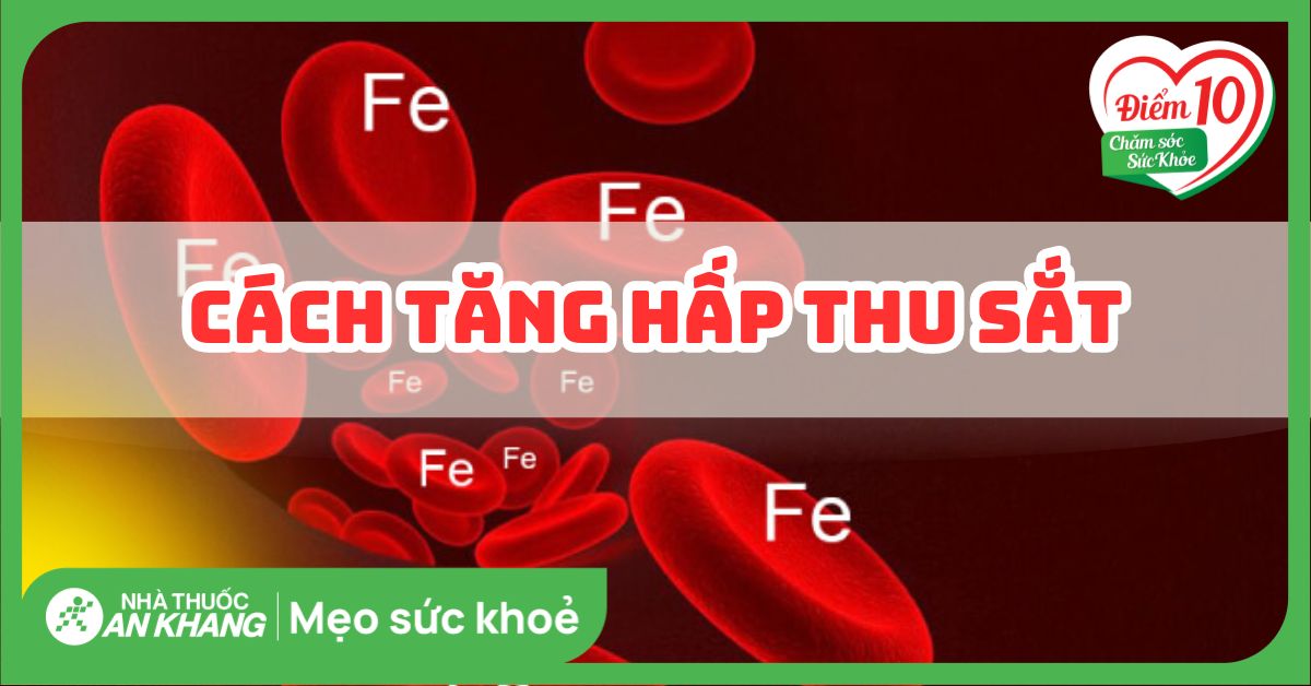Cách tăng hấp thụ sắt từ thực phẩm và đối tượng cần tăng hấp thụ sắt