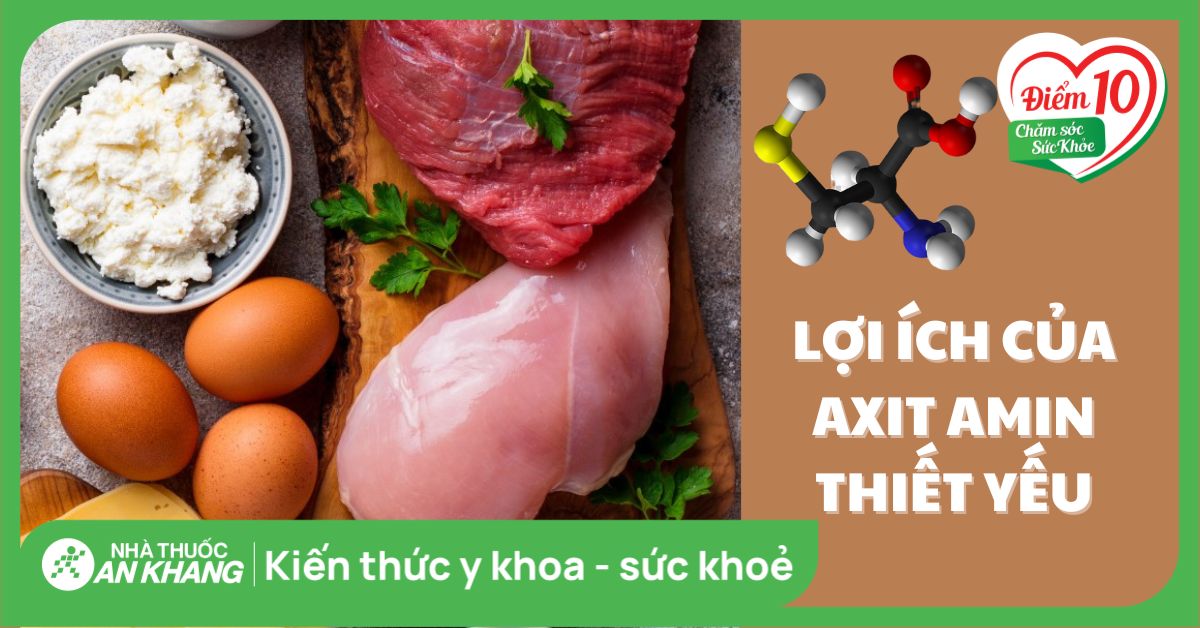 Axit amin thiết yếu là gì? Lợi ích và nguồn thực phẩm bổ sung