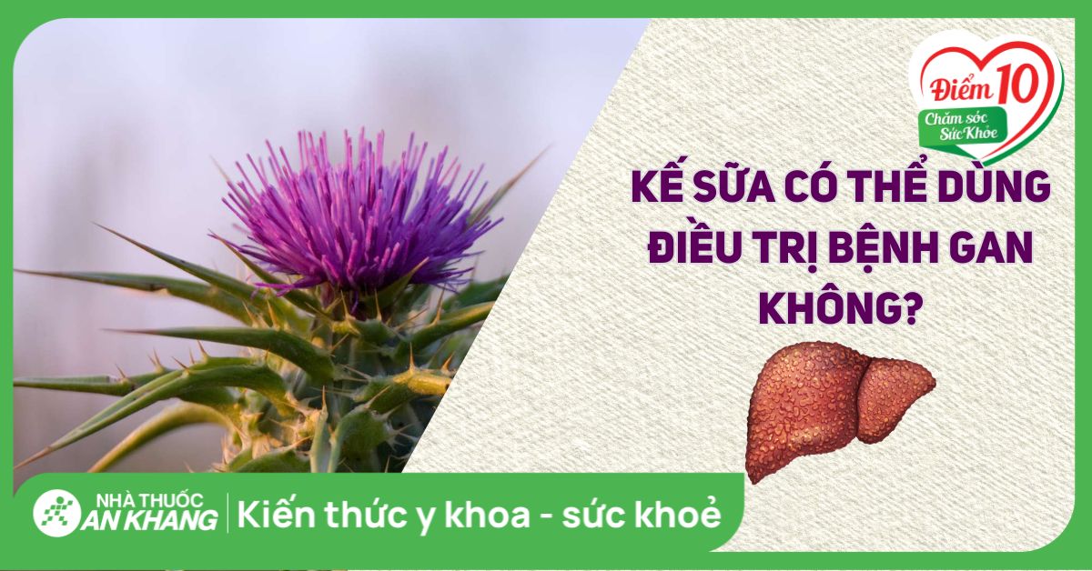 Milk thistle (cây Kế sữa) có giúp cải thiện sức khỏe cho gan không?