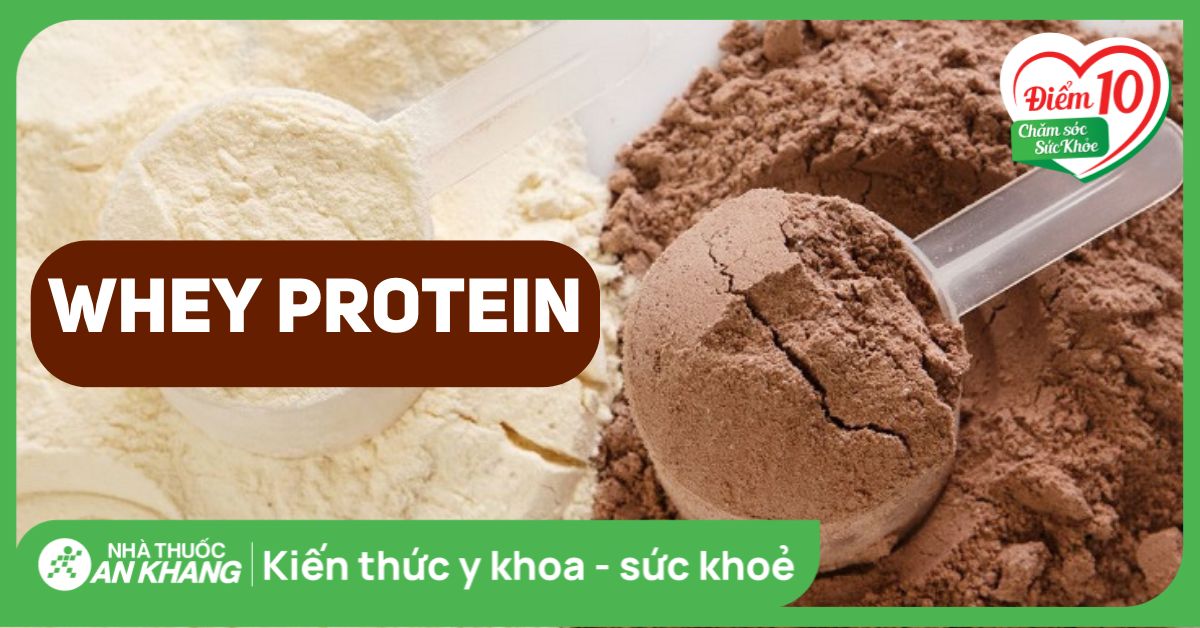 Whey protein là gì? Công dụng, phân loại và cách sử dụng hiệu quả