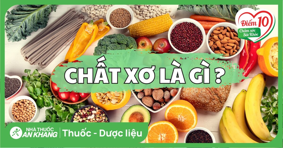 Chất xơ là gì, có mấy loại? Vai trò của chất xơ đối với cơ thể