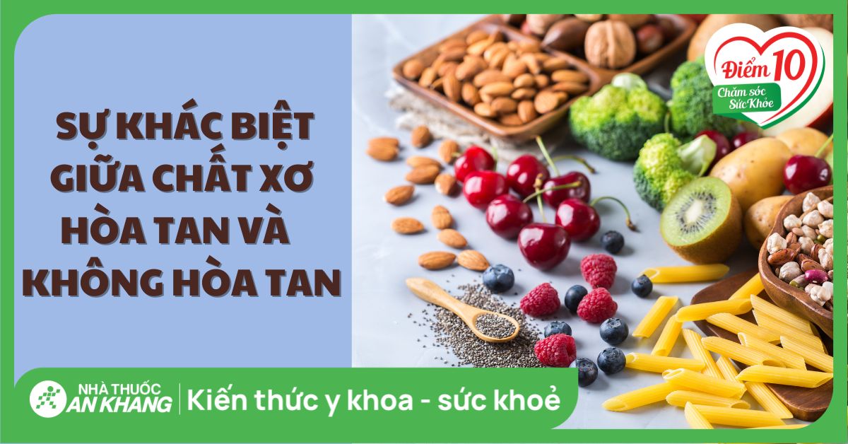 Chất xơ hòa tan và chất xơ không hòa tan: Sự khác biệt là gì?