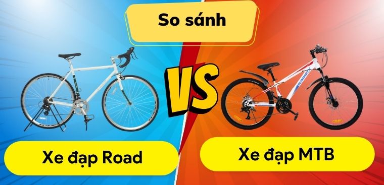 Nên mua xe đạp Road hay MTB? So sánh ưu nhược điểm chi tiết