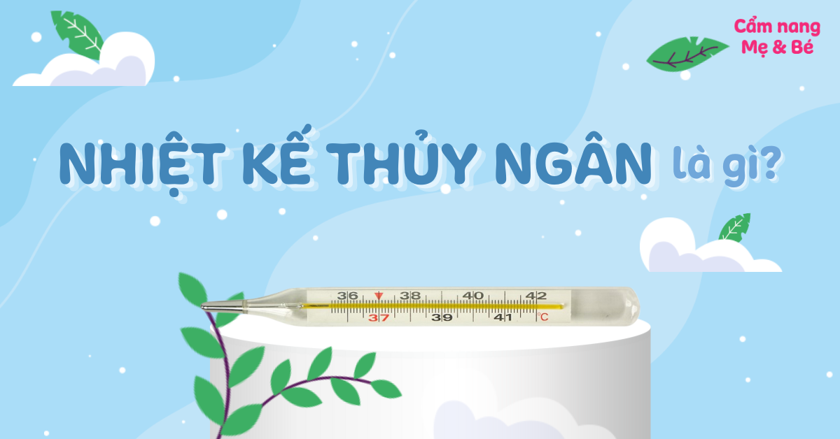 Nhiệt kế thủy ngân là gì? Cấu tạo và công dụng của nhiệt kế thủy ngân