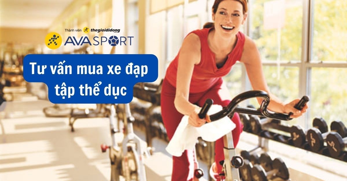 Tư vấn mua xe đạp tập thể dục - Top xe đạp tập thể dục tốt nhất