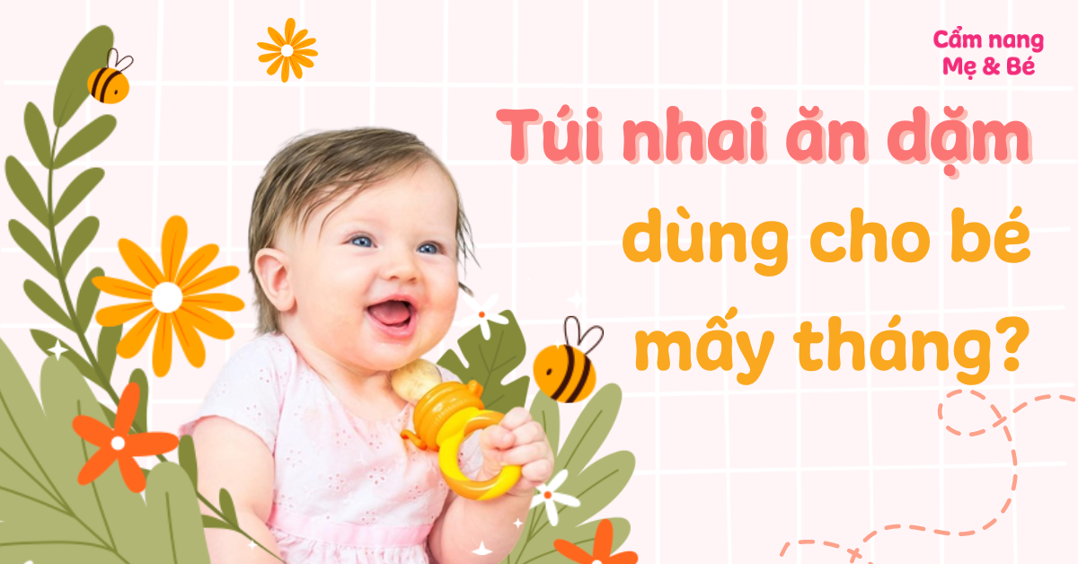 Núm vú ăn dặm có những loại nào?
