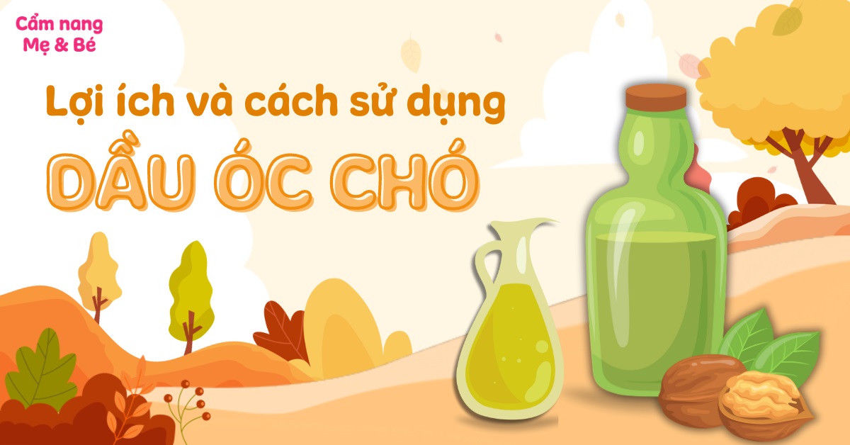 Dầu óc chó có tác dụng gì? Cách sử dụng hiệu quả và đúng cách