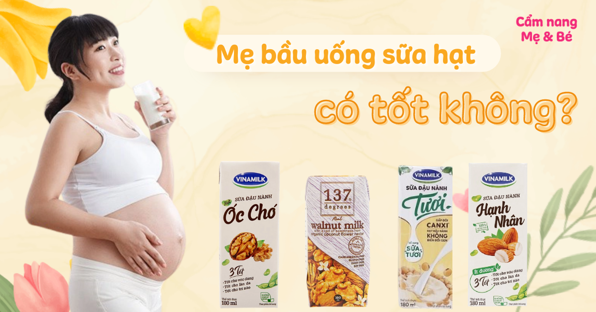 Tìm hiểu bầu uống sữa hạt sen được không và những lợi ích sức khỏe