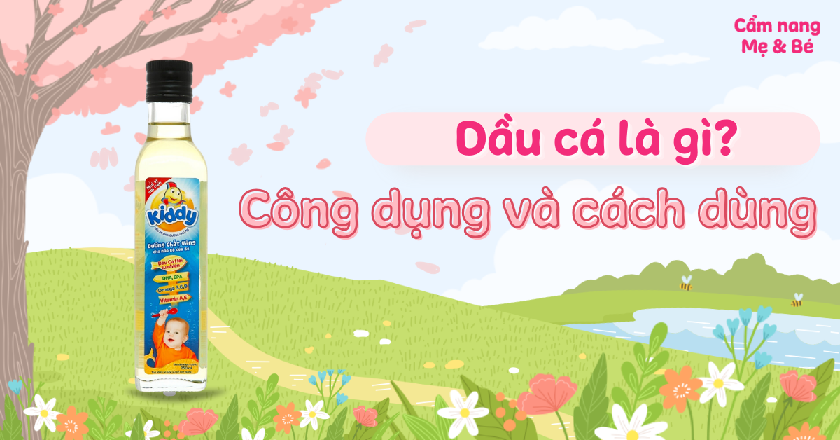 Dầu cá là gì? Công dụng và cách dùng an toàn hiệu quả