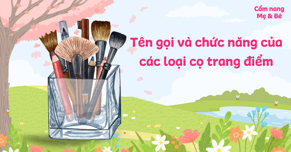 Tên gọi và chức năng của các loại cọ trang điểm phổ biến nhất