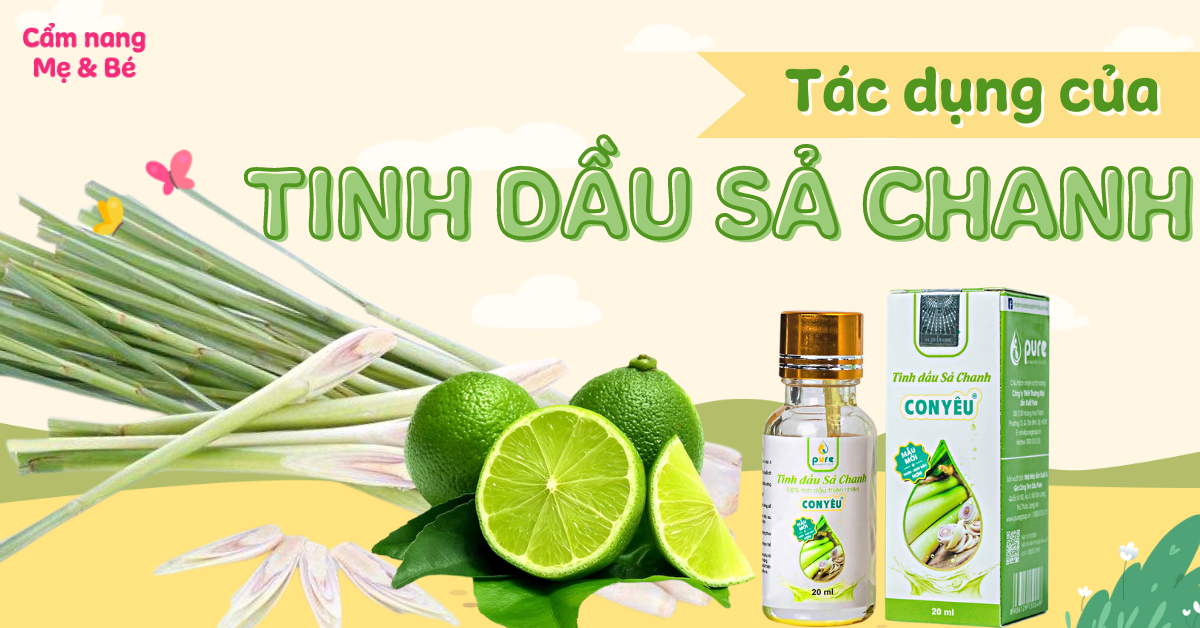 tác dụng của tinh dầu sả chanh