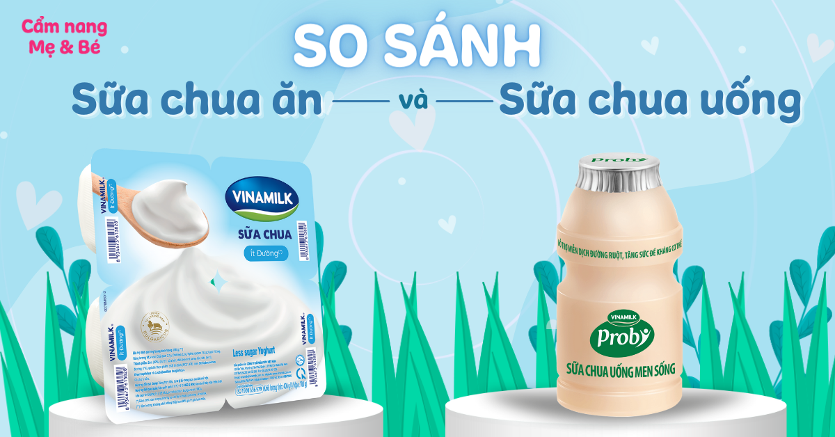 Lợi ích của men vi sinh trong sữa chua và probiotic đối với hệ tiêu hóa