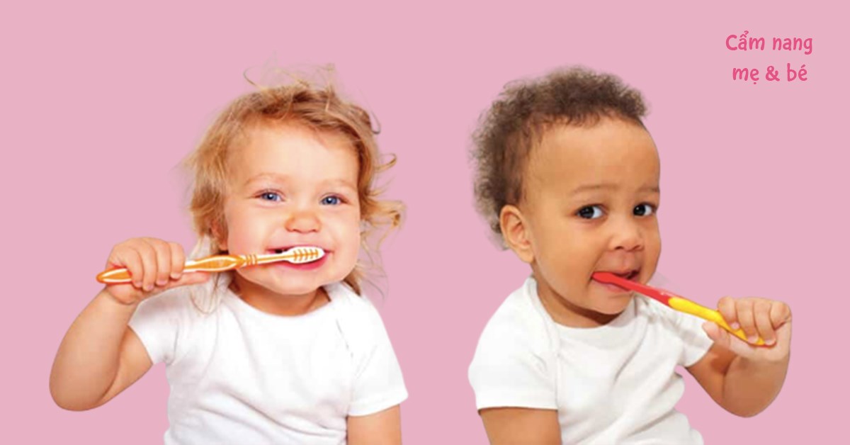Top 7 bàn chải đánh răng cho bé 1 tuổi tốt nhất không nên bỏ qua