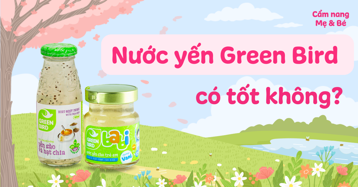 Có thông tin gì về công ty Green Bird sản xuất nước yến collagen?
