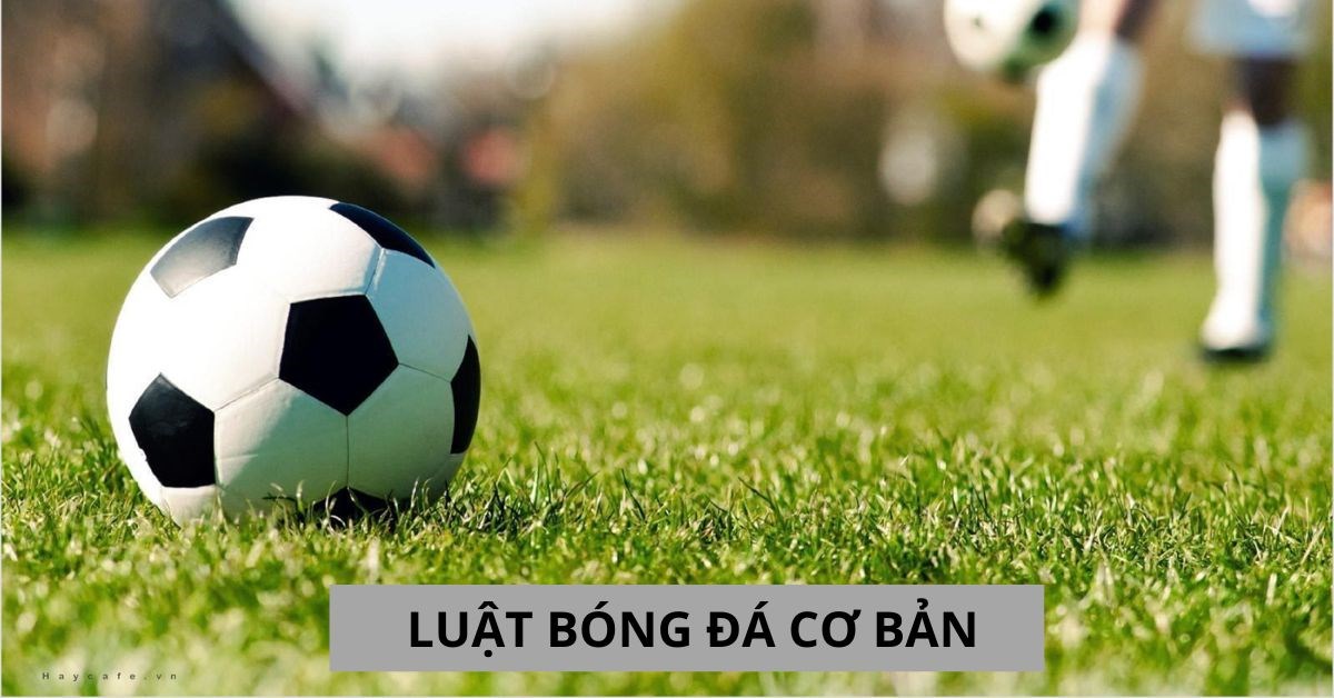 Luật bóng đá cơ bản chi tiết và dễ hiểu nhất