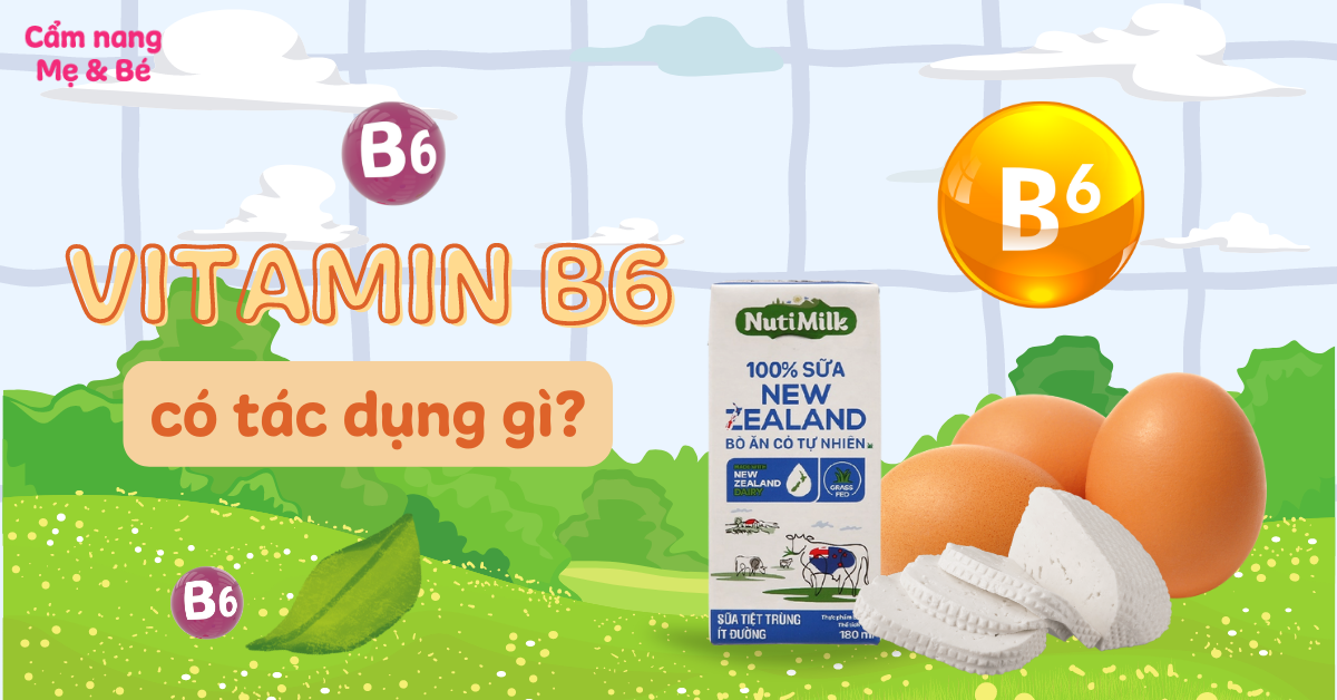 Tại sao nên sử dụng vitamin B6 cho bà bầu?