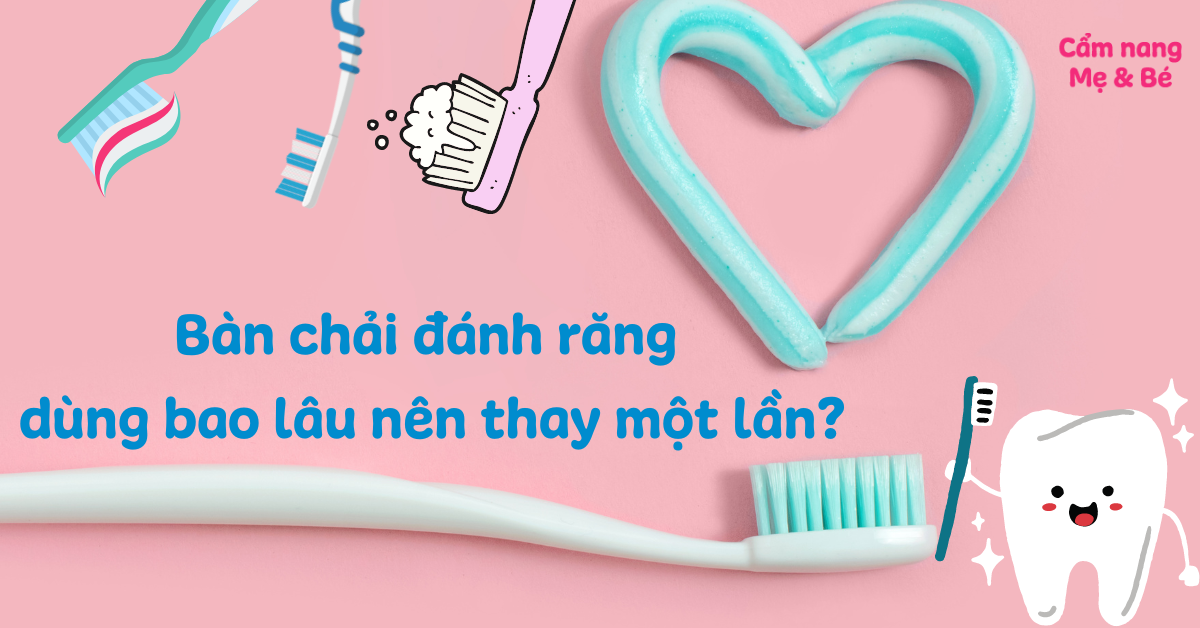 Bàn chải đánh răng dùng bao lâu nên thay một lần?