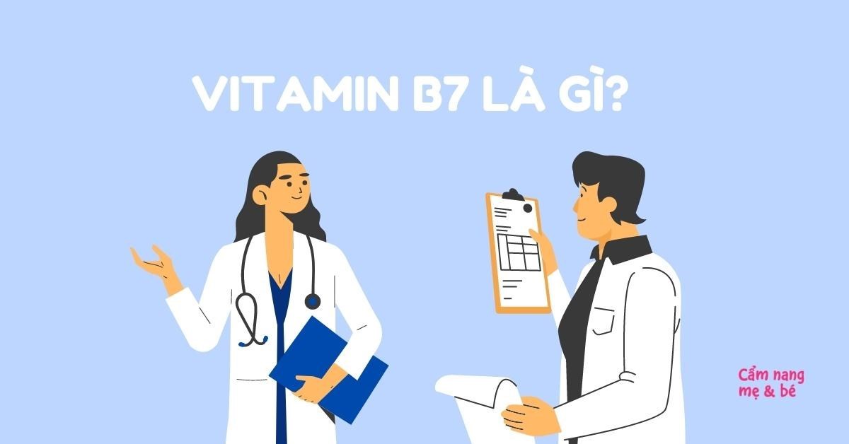 Biotin là một dạng vitamin nào trong nhóm B7?
