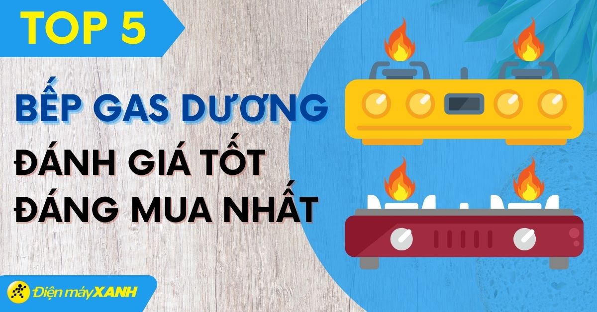Top 10 bếp ga dương có đánh giá tốt nhất đáng mua tại Điện máy XANH