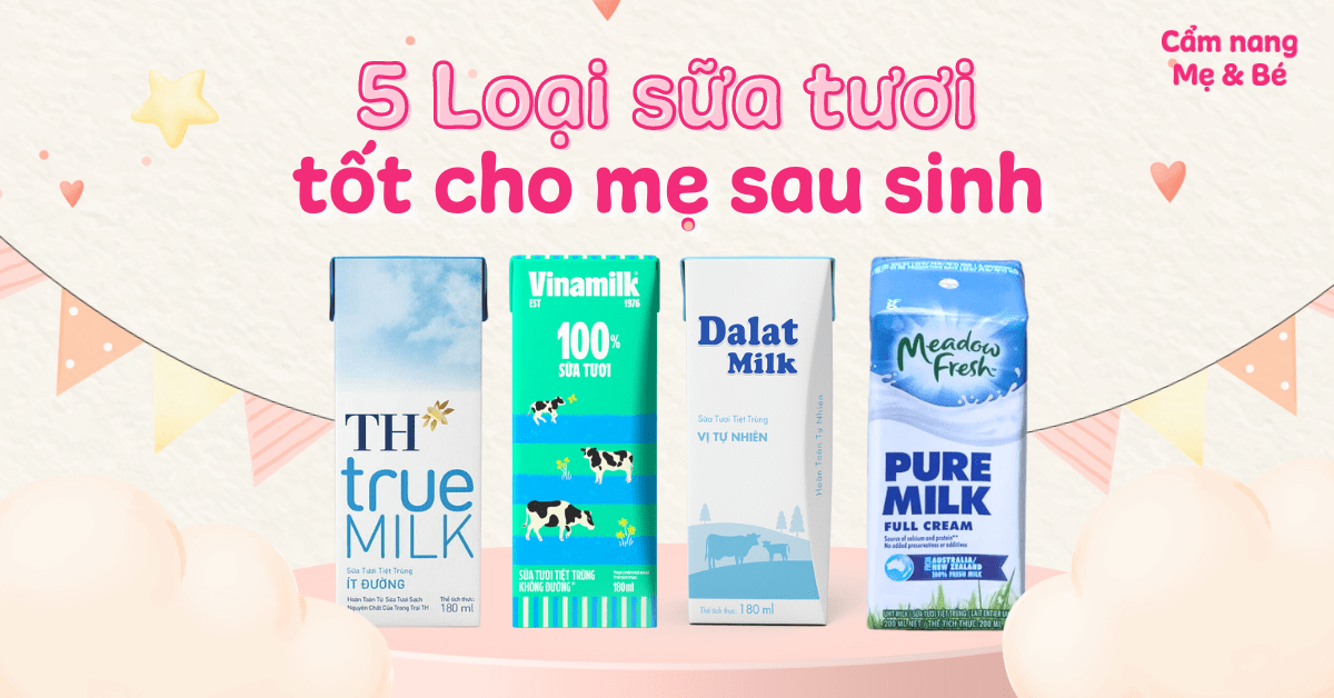 Cho Con Bú Uống Sữa Tươi Được Không? Lợi Ích Và Những Lưu Ý Quan Trọng