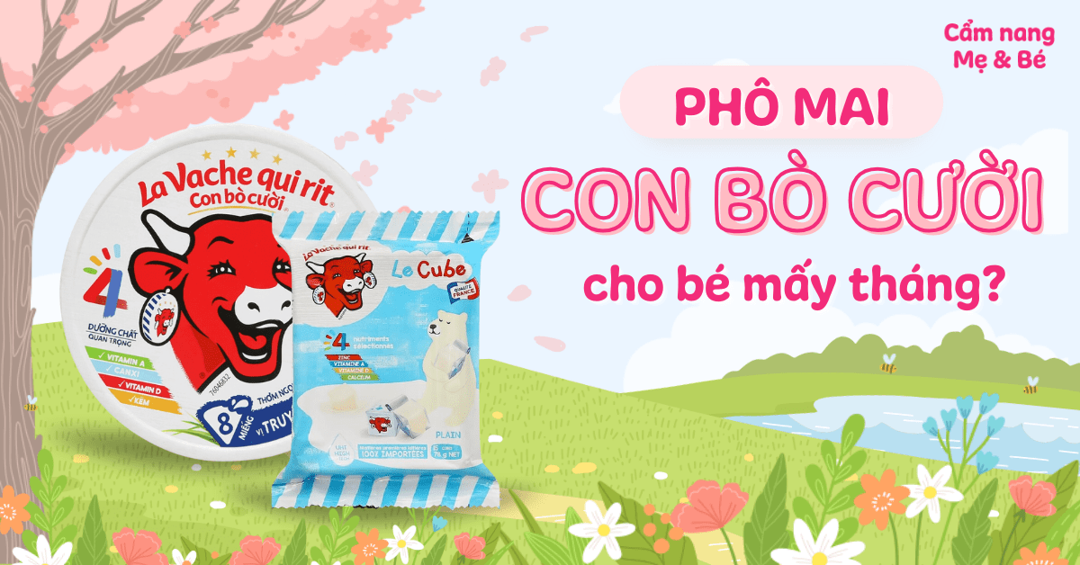 Phô mai Con Bò Cười cho bé mấy tháng ăn được? 5 lưu ý khi sử dụng