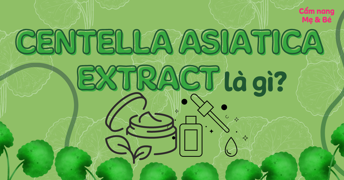 Centella Asiatica là gì? 6 sản phẩm chứa Centella bạn phải thử