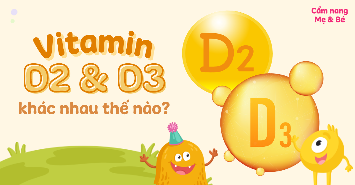 Hiểu rõ về vitamin d2 và d3 và cách phòng ngừa