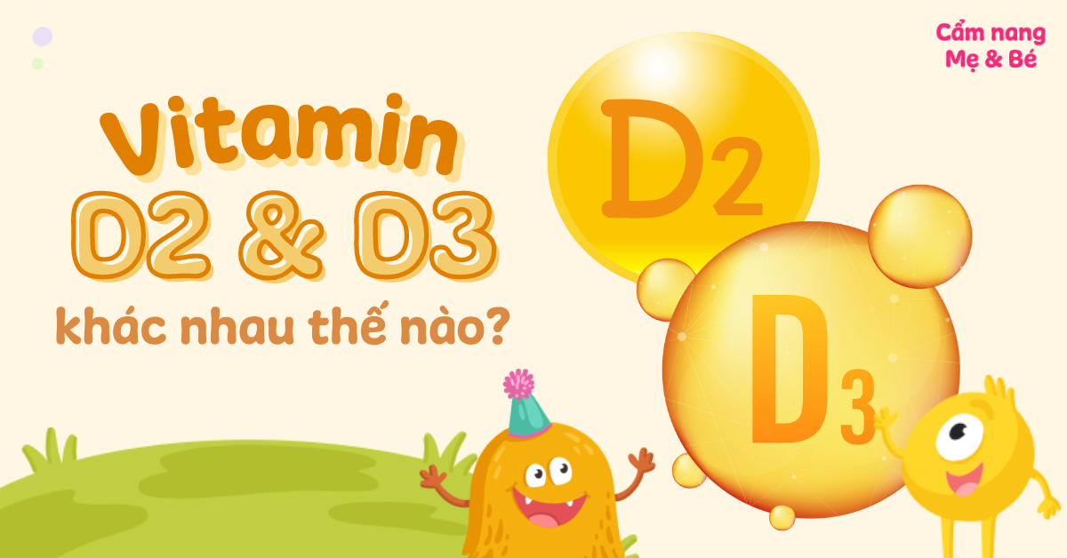 Vitamin D2 và D3 có liên quan đến việc hình thành xương và răng không?
